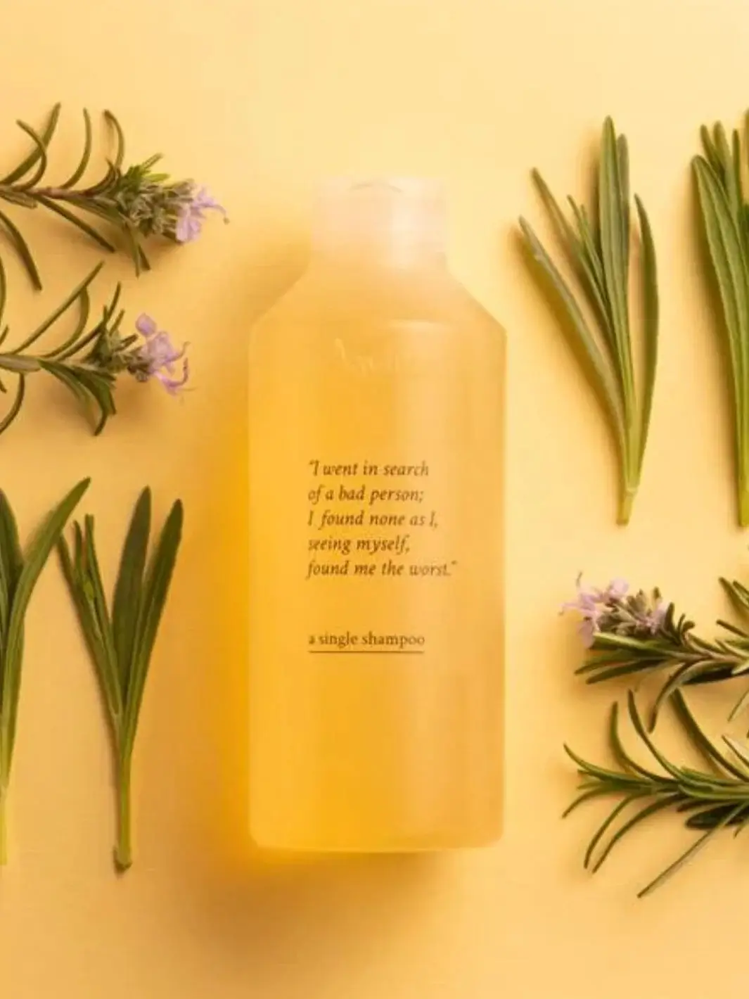 A Single Shampoo - Image 3