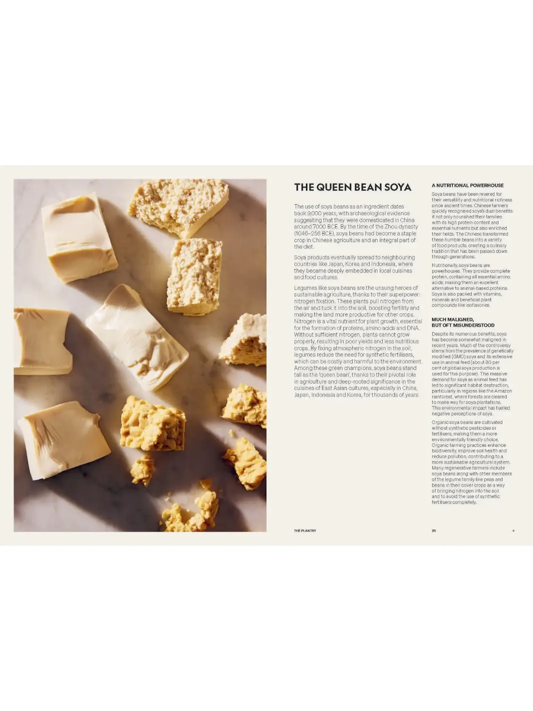 Beyond Baking: Plant-Based Baking for a New Era - Image 5