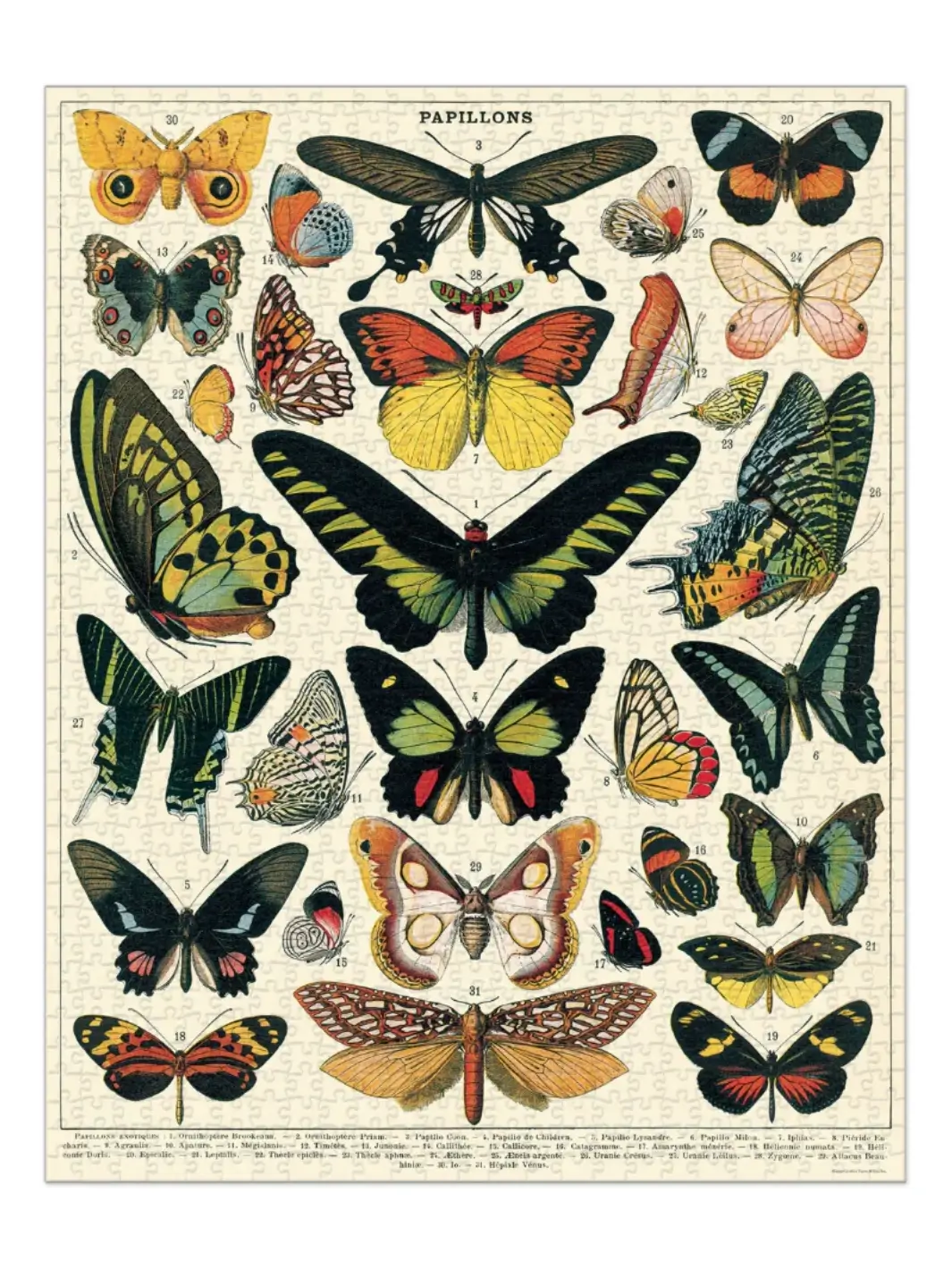 Butterflies 1000 Piece Vintage Puzzle - Image 2