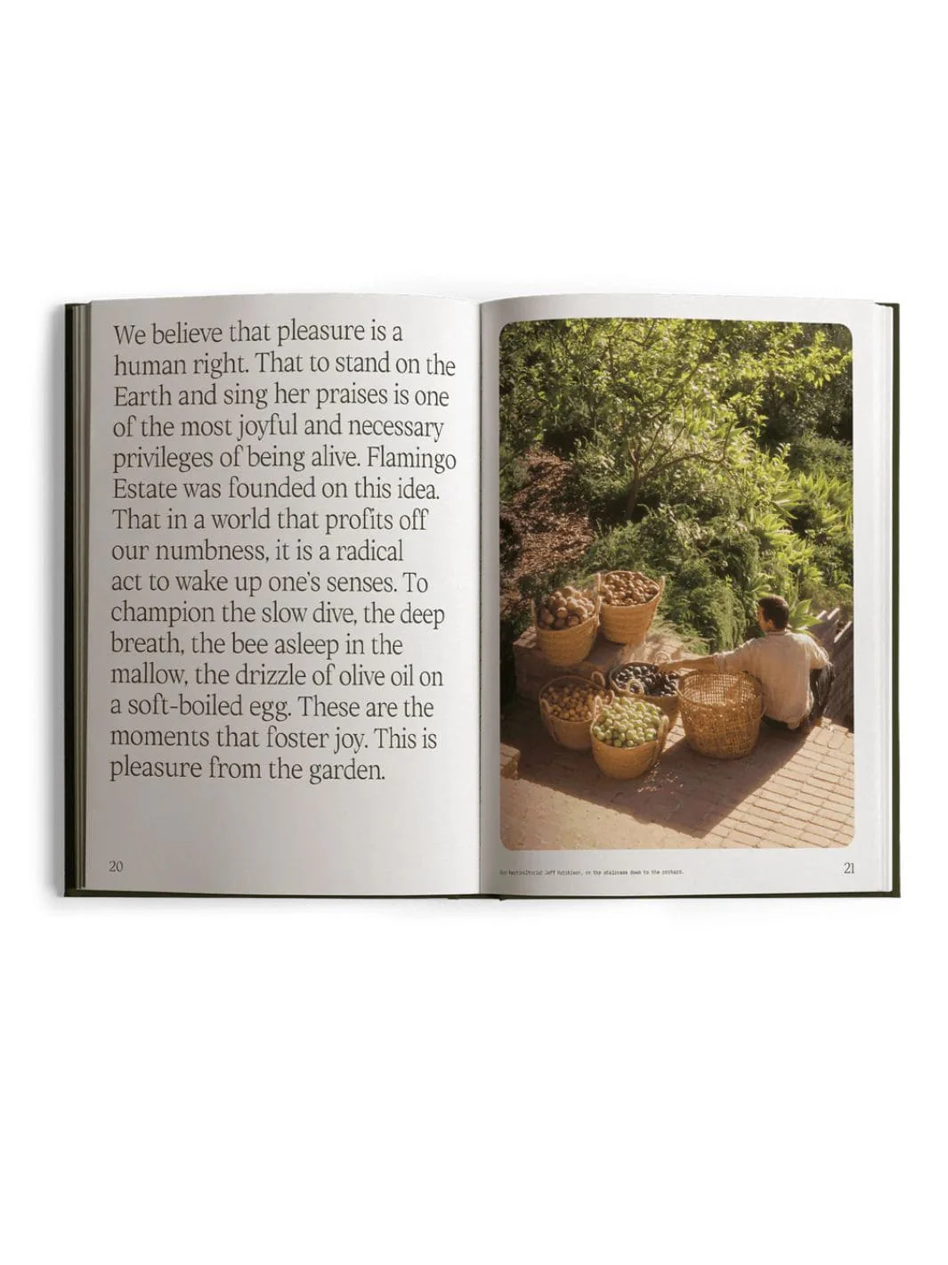 Fridays From the Garden Cookbook - Image 4