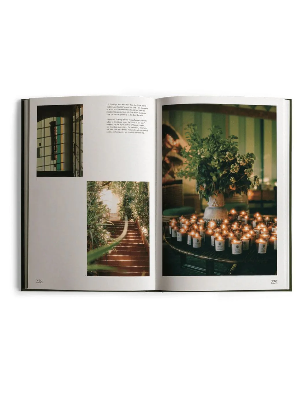 Fridays From the Garden Cookbook - Image 8