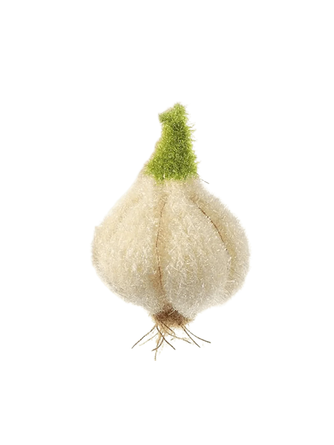 Garlic Sponge