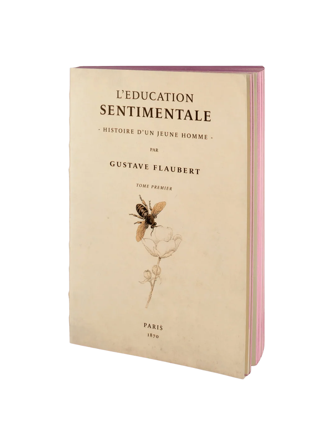 Libri Muti: L’Education Sentimentale