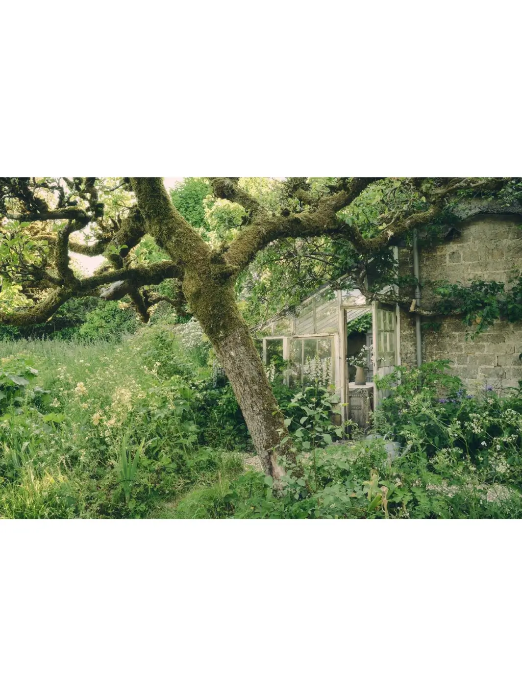 Life Inside A Cottage - Image 6