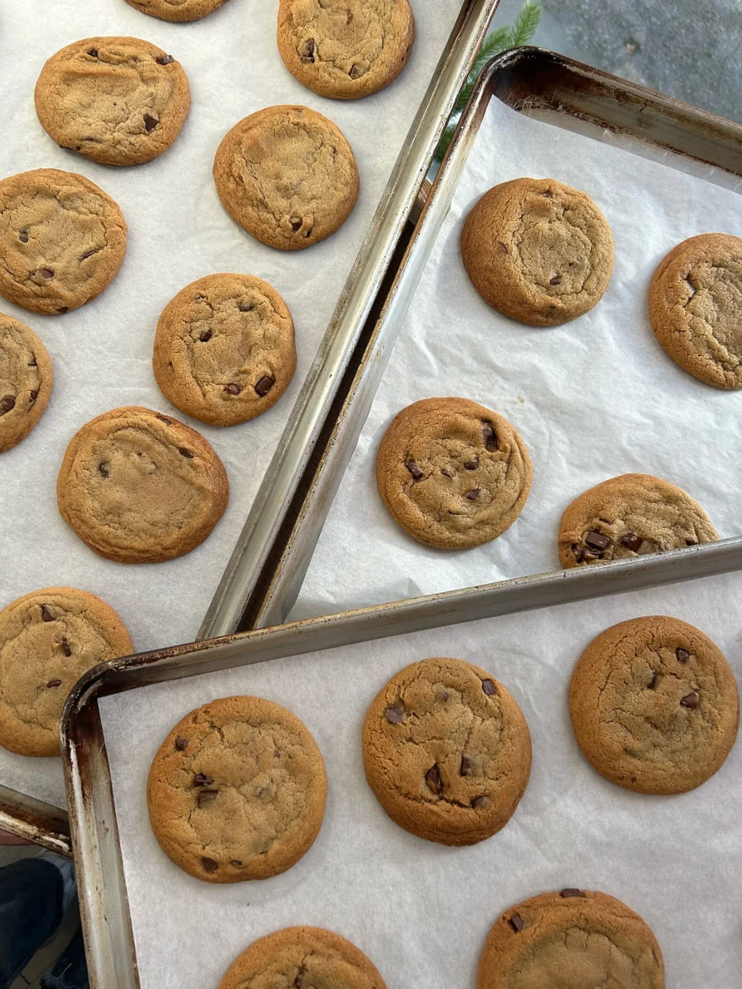 Mandy's Chocolate Chip Cookie Mix - Image 2