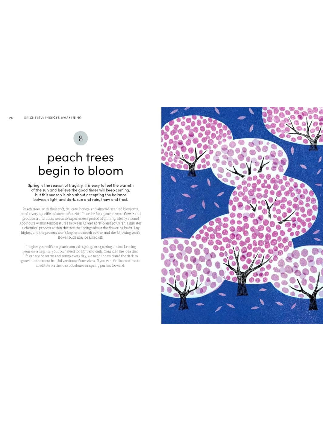 Microseasons - Image 7