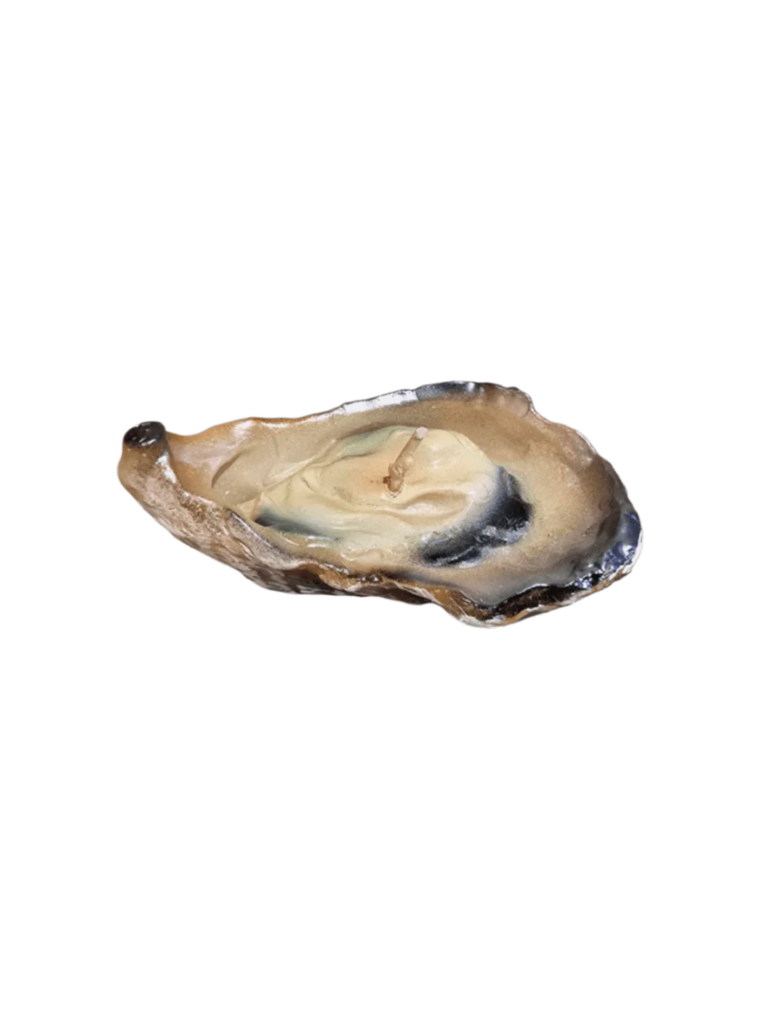 Oyster Candle