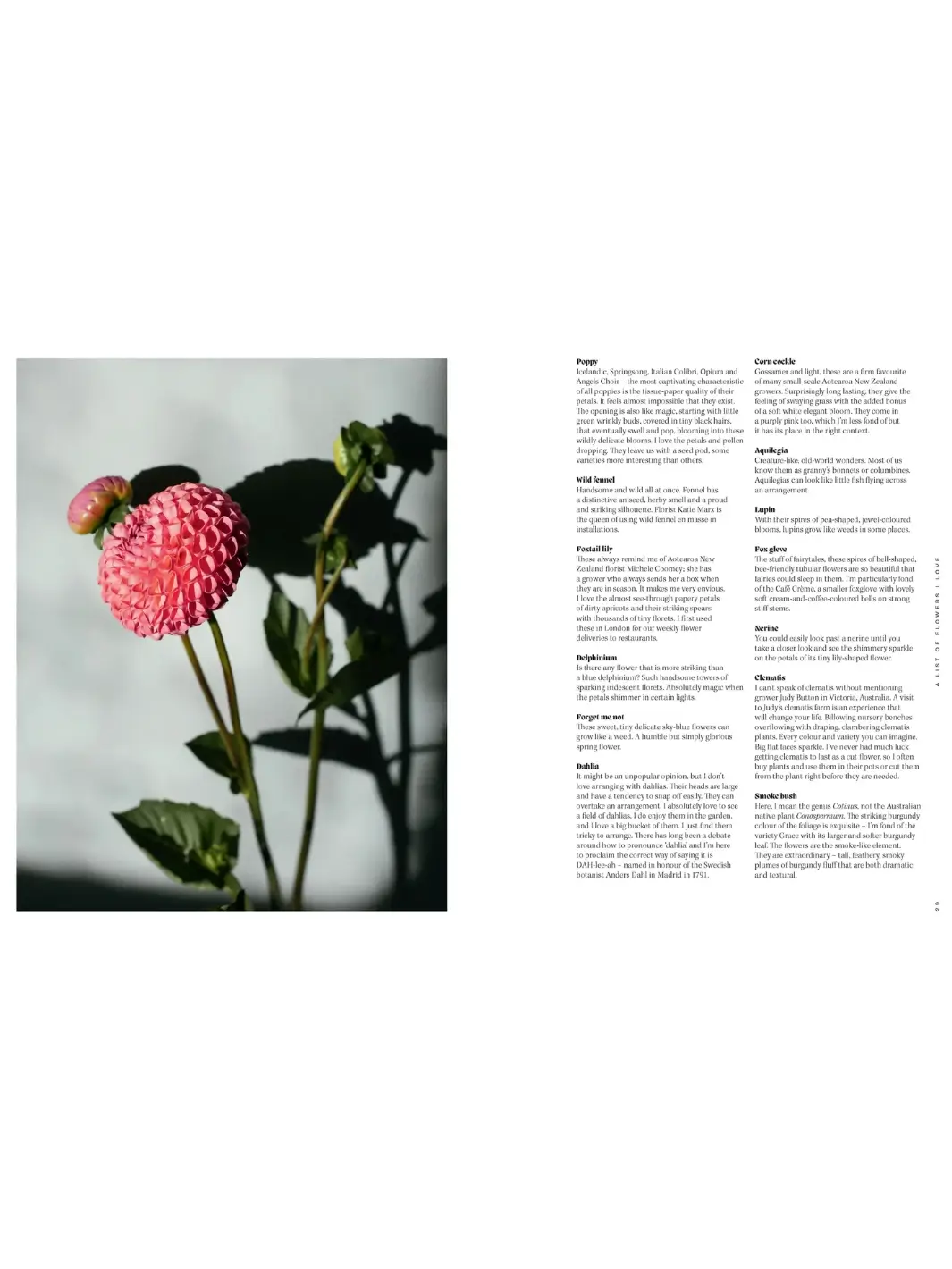 Pretty Dirty: The Life of Flowers, From Creation to Compost - Image 3