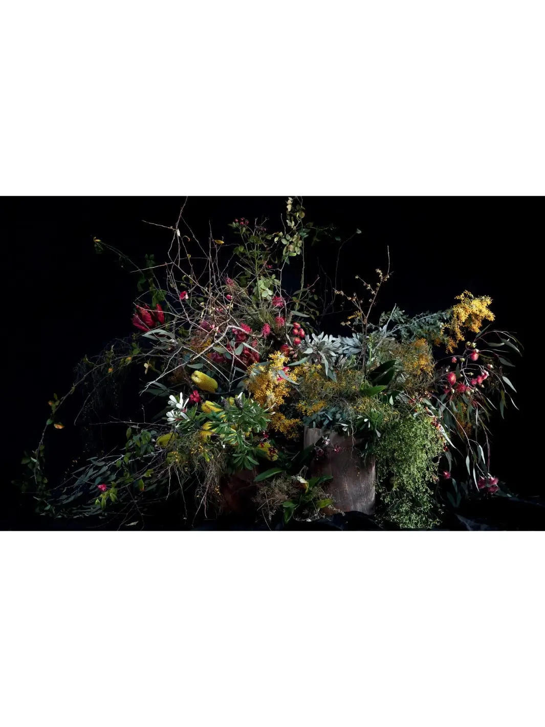 Pretty Dirty: The Life of Flowers, From Creation to Compost - Image 4