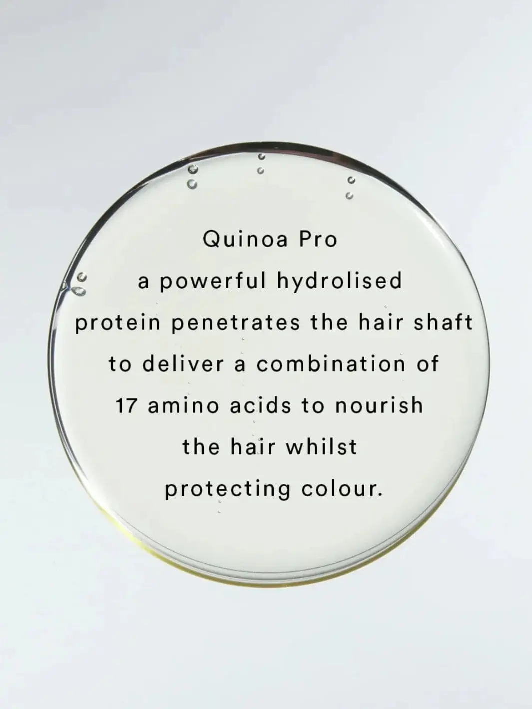 Rich Cleanse Nourishing Shampoo - Image 6