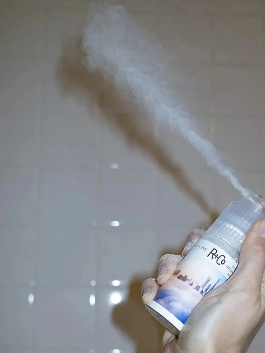 SKYLINE Dry Shampoo Powder - Image 2