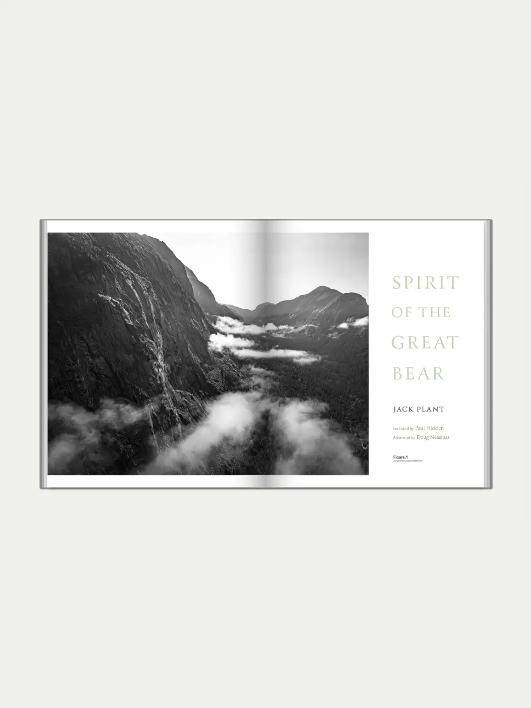 Spirit of the Great Bear - Image 2