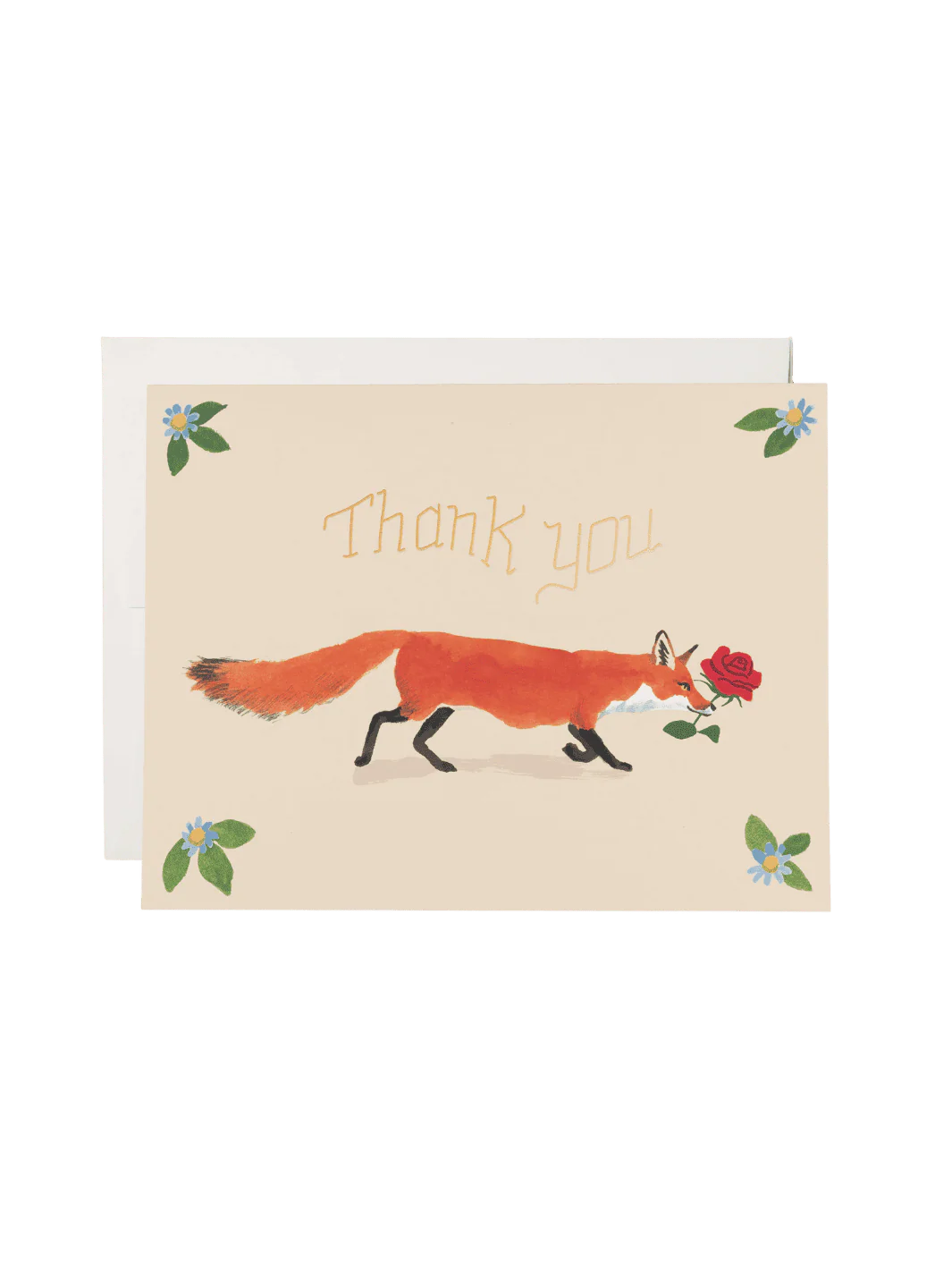 Thanks Fox Thank You Greeting Card Box Set