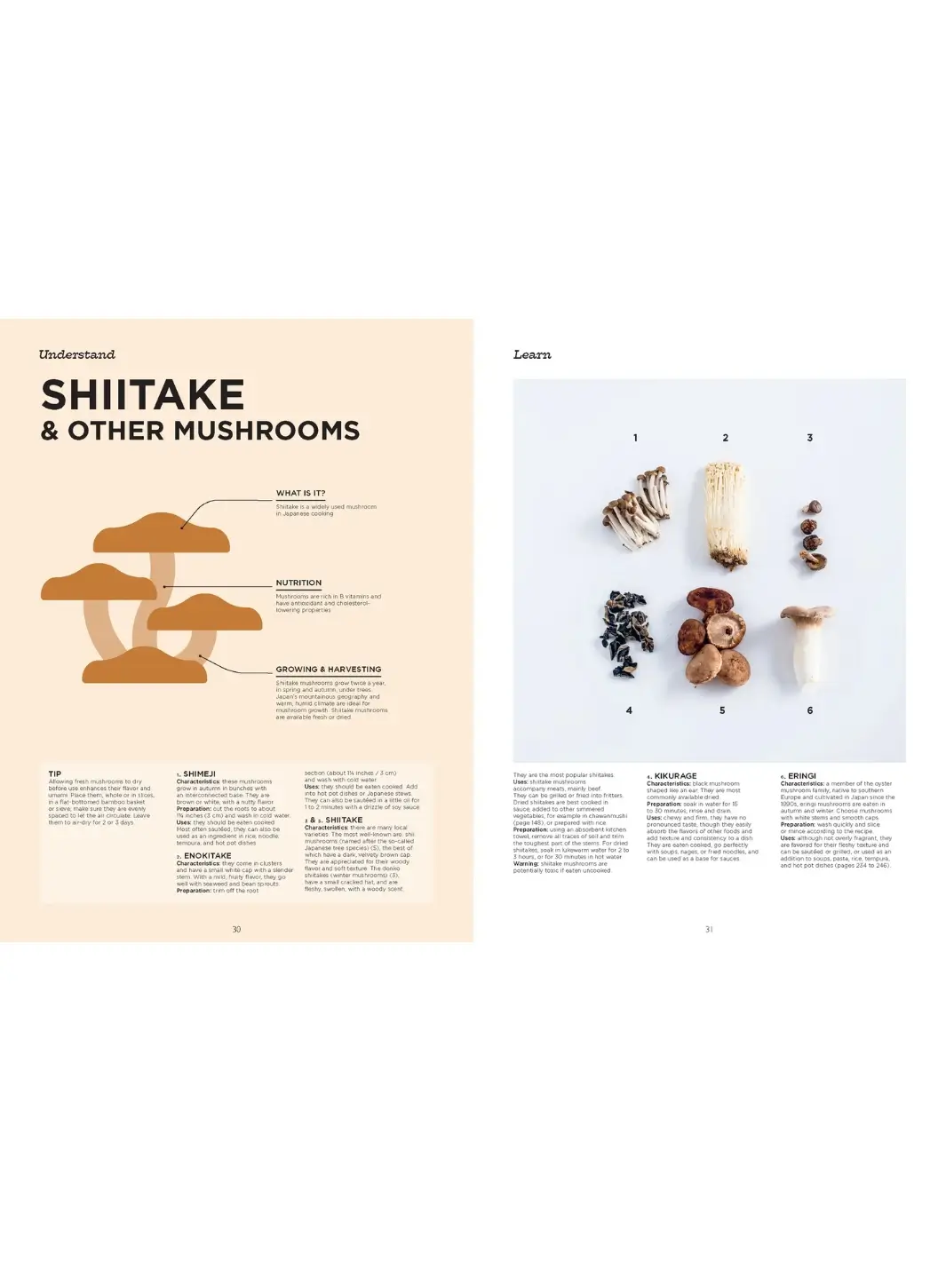 The Complete Illustrated Guide to Japanese Cooking - Image 4