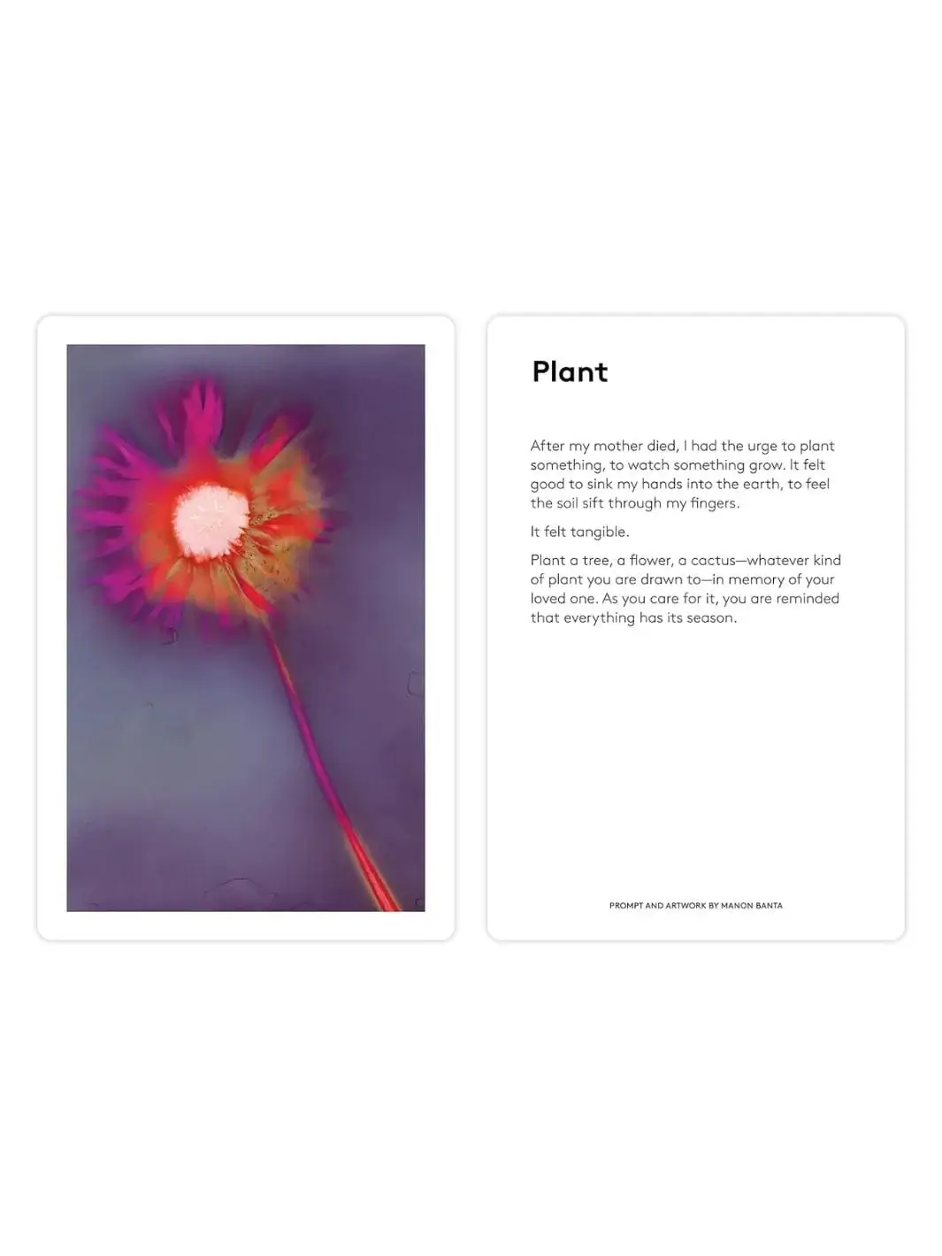 The Grief Deck - Image 7