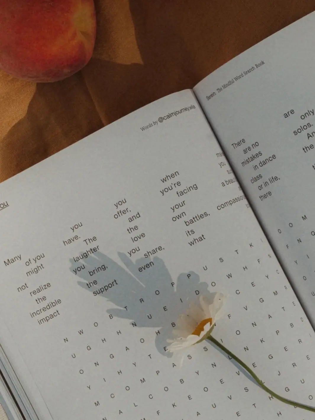 The Mindful Word Search Book - Image 5