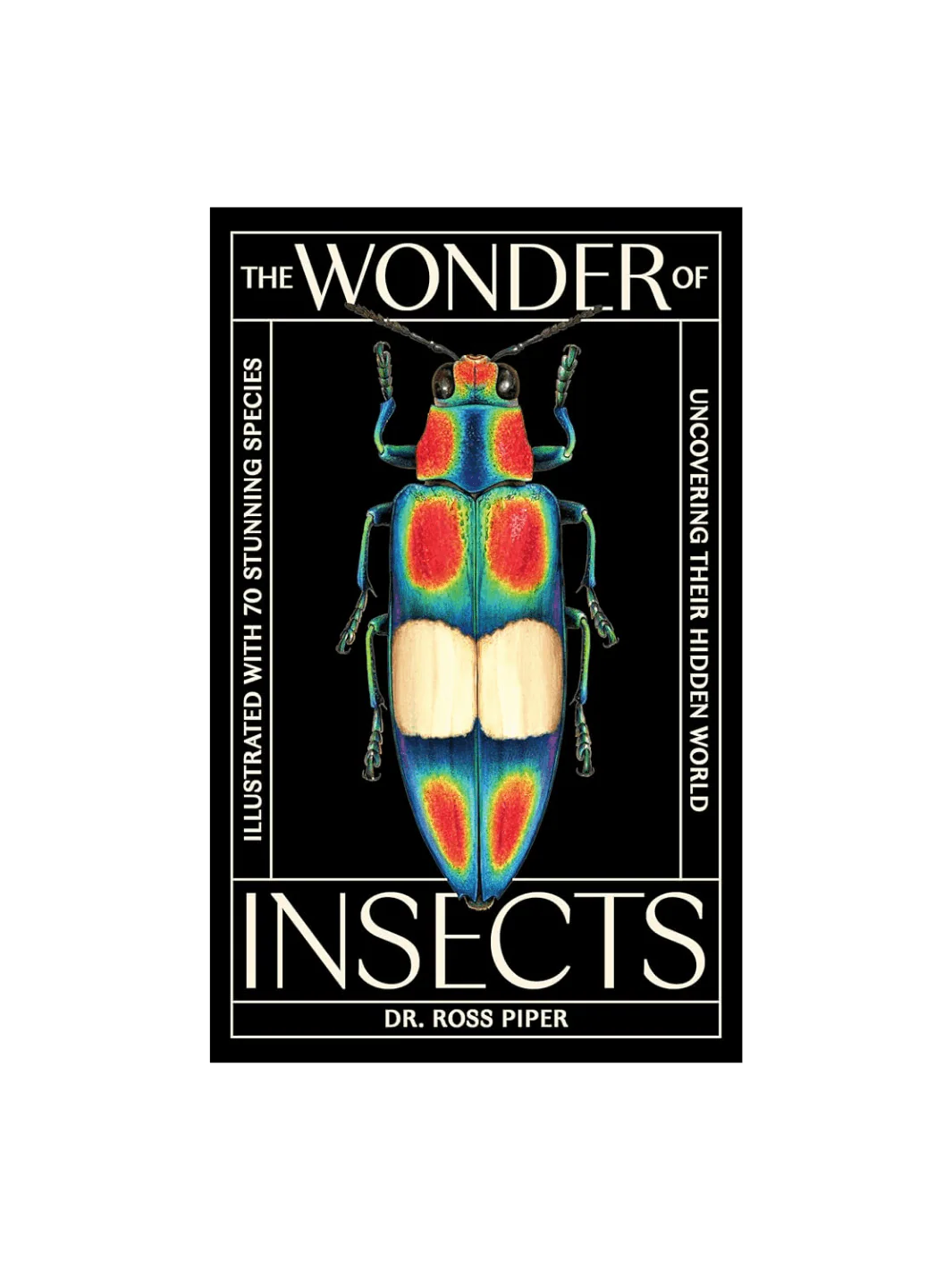 The Wonder of Insects: Uncovering their Hidden World