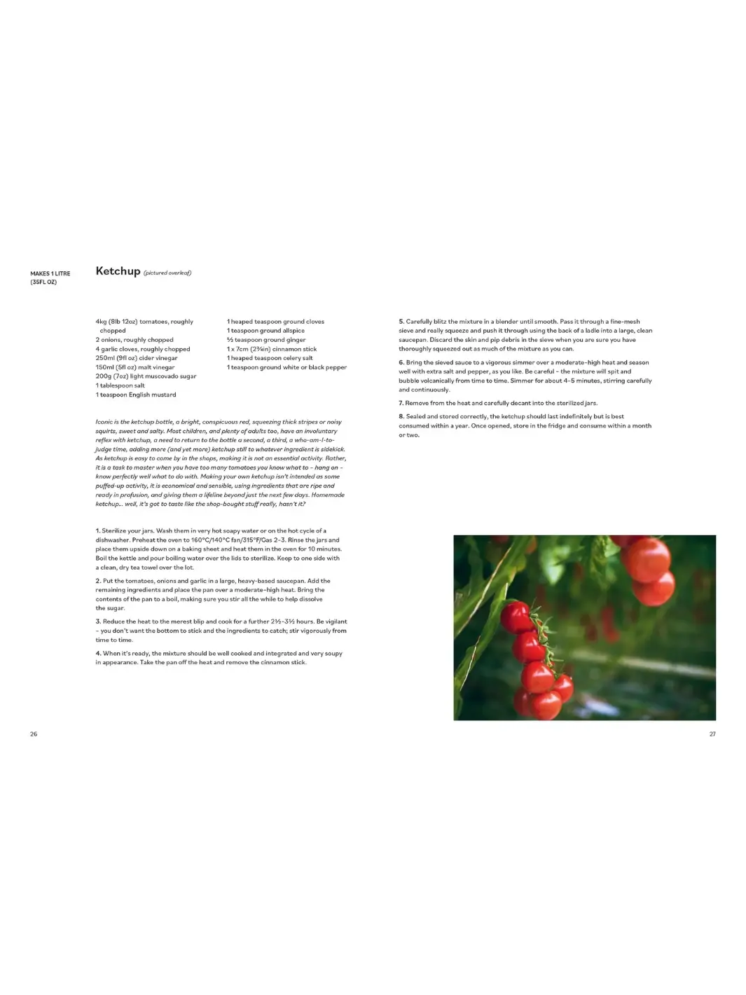 Tomato: 80 Recipes Celebrating the Extraordinary Tomato - Image 6