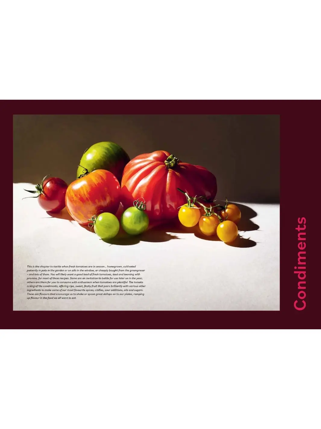 Tomato: 80 Recipes Celebrating the Extraordinary Tomato - Image 7