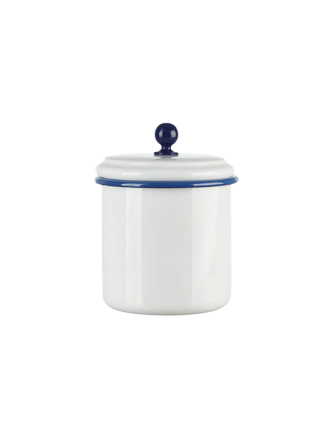 White/Blue Medium Storage Container