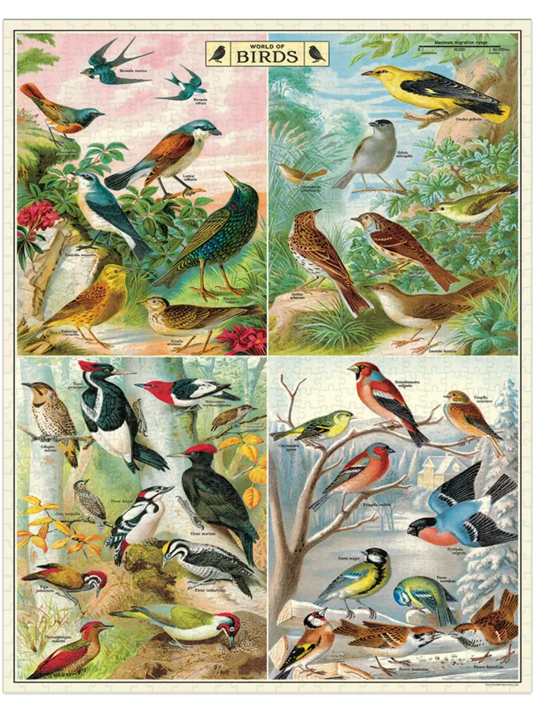 World of Birds 1000 Piece Vintage Puzzle - Image 2