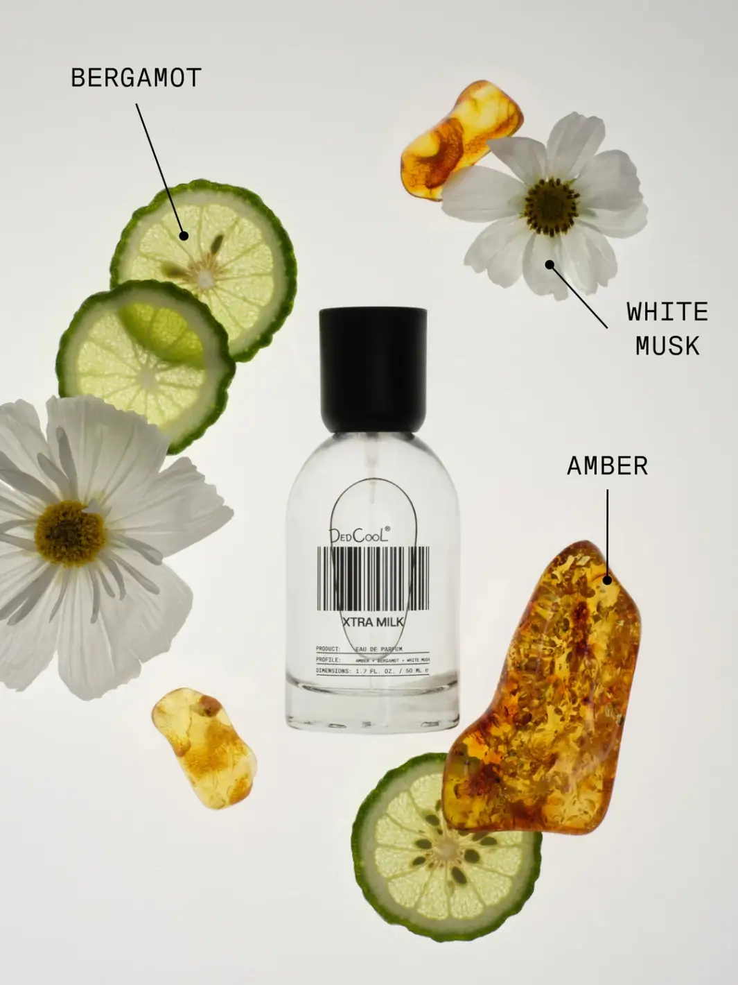 Xtra Milk Fragrance - Image 3